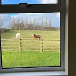 Little Harries - Surrounded By Open Fields * Ripon