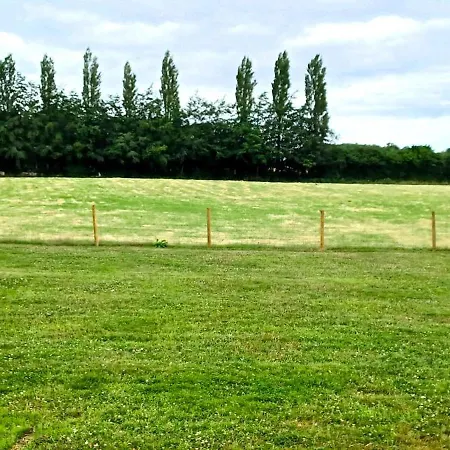 Little Harries - Surrounded By Open Fields Ripon
